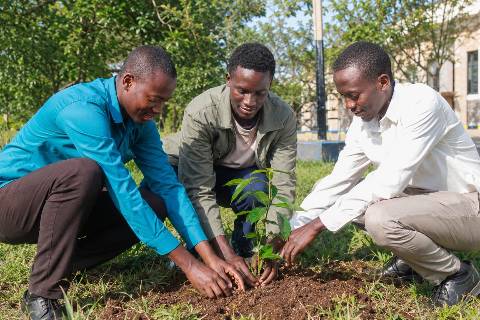 Tree planting community day